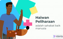 Haiwan Perliharaan